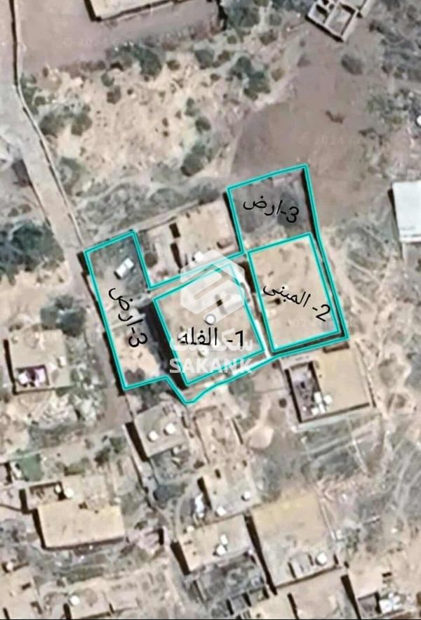 فله وعمارة